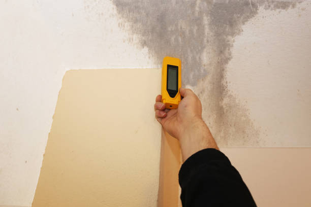 Best Indoor Air Quality Assessment  in Cayce, SC
