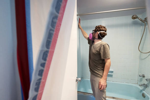 Best Real Estate Mold Inspection  in Cayce, SC