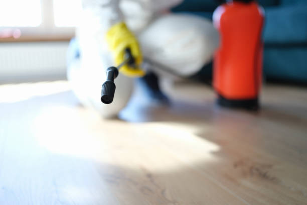 Best Comprehensive Air Testing for Mold Contaminants  in Cayce, SC